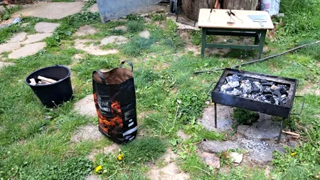 Cât costă o zi la GRĂTAR în Pădurea Cernica, lângă Capitală. Accesul, parcarea şi închirierea grătarului sau a unei mese se plătesc separat