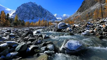 El este Mowgli din Siberia. Un tânăr susține că a trăit 16 ani în sălbăticie