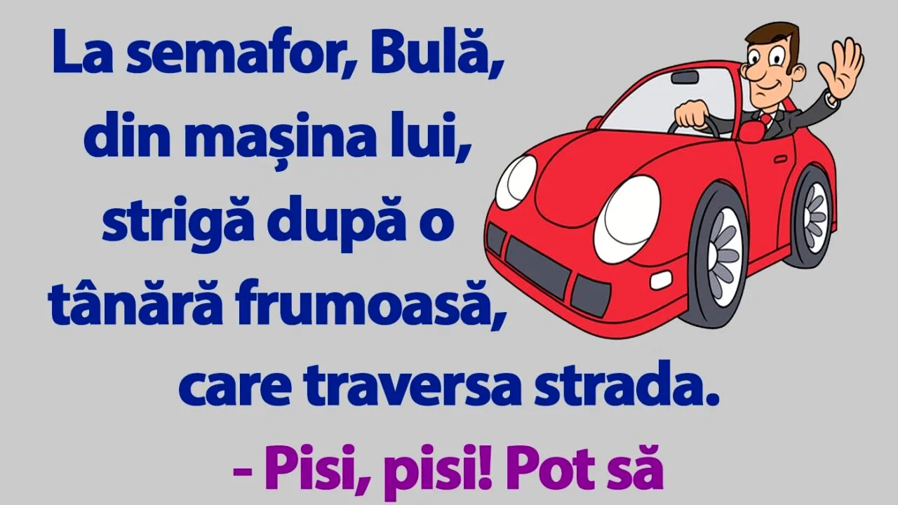 BANC | Bulă vrea să agațe la semafor