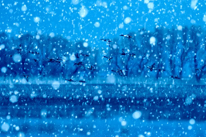 foto ilustrativa: sursa foto: Envato