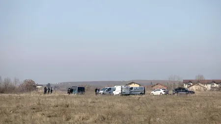 Angajatul unui adăpost de animale, mărturisiri despre problema câinilor de luptă. Ce se ascunde în spatele patrupezilor abandonați pe câmpurile din Capitală