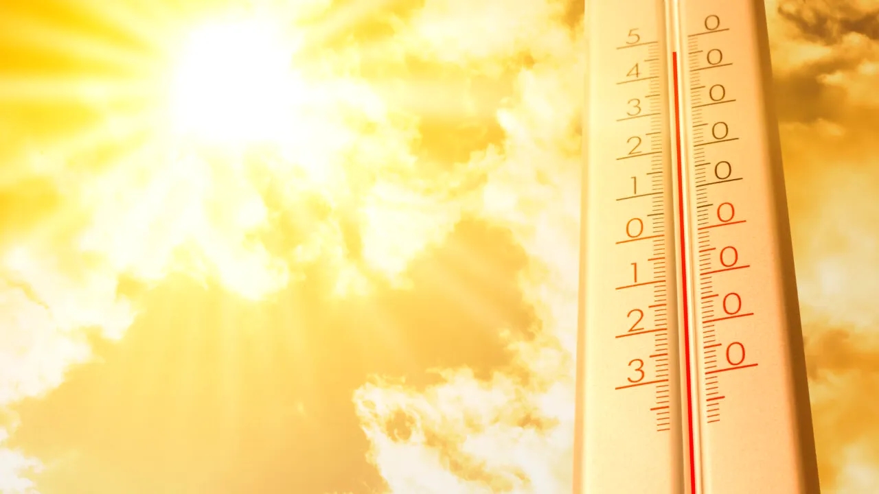 Cum să-ți menții casa răcoroasă în timpul unui val de căldură, fără ventilator sau aer condiționat