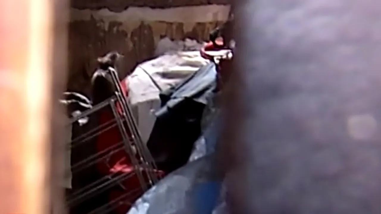 Un bărbat dintr-un cartier de lux al Capitalei creşte de câțiva ani zeci de şobolani în apartament. La ce soluții s-au gândit vecinii pentru a scăpa de rozătoare