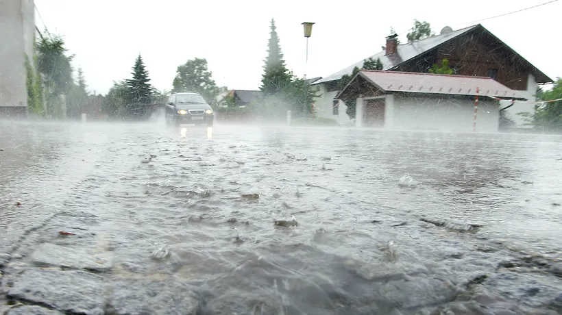 Alertă în Buzău, unde acoperișul unei ferme a căzut peste 150 de oi, din cauza vântului puternic