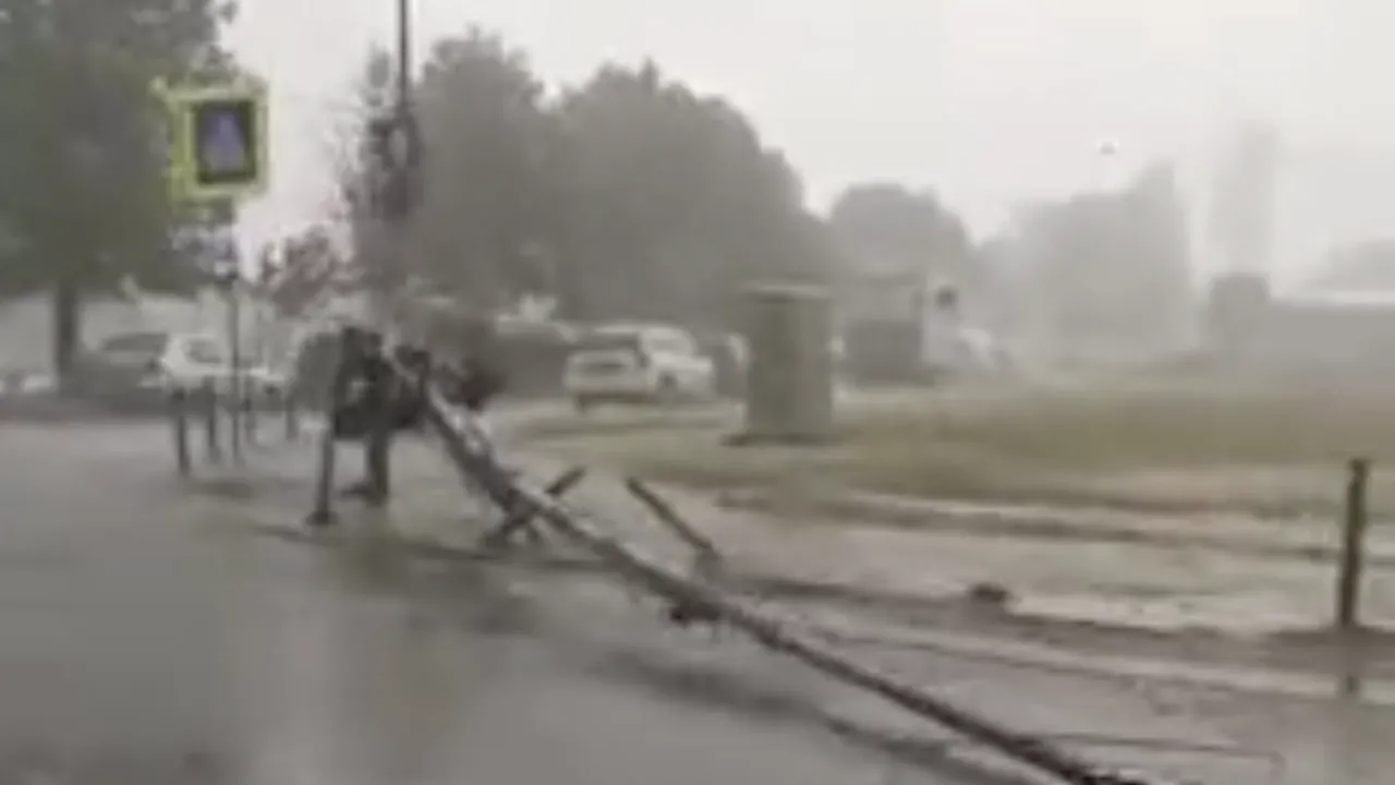 FURTUNILE violente au făcut prăpăd în estul și sud-estul României. Zeci de copaci rupți, acoperișuri distruse. 20 de localități, fără curent