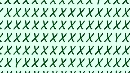 TEST IQ | Ai o inteligență peste medie, dacă rezolvi acest test în 9 secunde