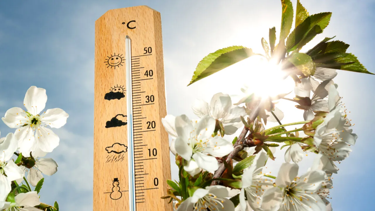 Prognoza ANM a fost actualizată. Când se vor înregistra temperaturi de primăvară și cum va fi vremea în următoarele 4 săptămâni