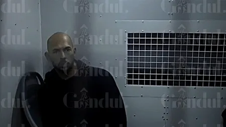 Catching the Tate brothers, step by step. Who noticed that the two influencers deal with sexual slavery and how they ended up in court