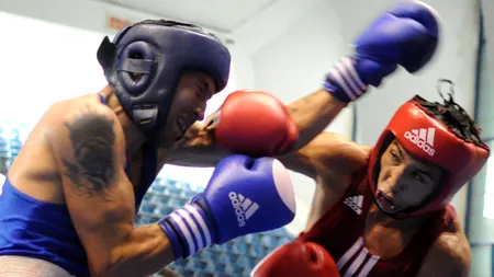 BĂTAIE pe holurile Primăriei Capitalei. Bădulescu, către Mutu: TU AI DAT PRIMUL!