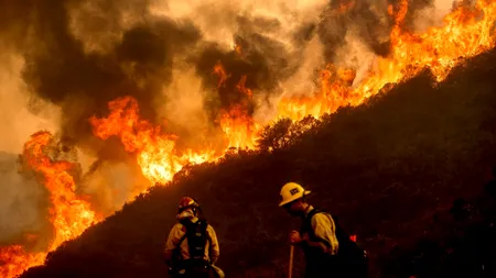 Incendii devastatoare în California, oamenii sunt disperați! Un pompier a murit, iar guvernatorul a decretat stare de urgență. FOTO