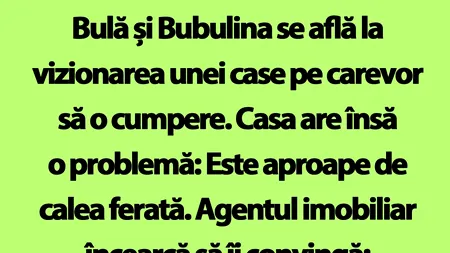 BANC | Bulă și Bubulina se află la vizionarea unei case