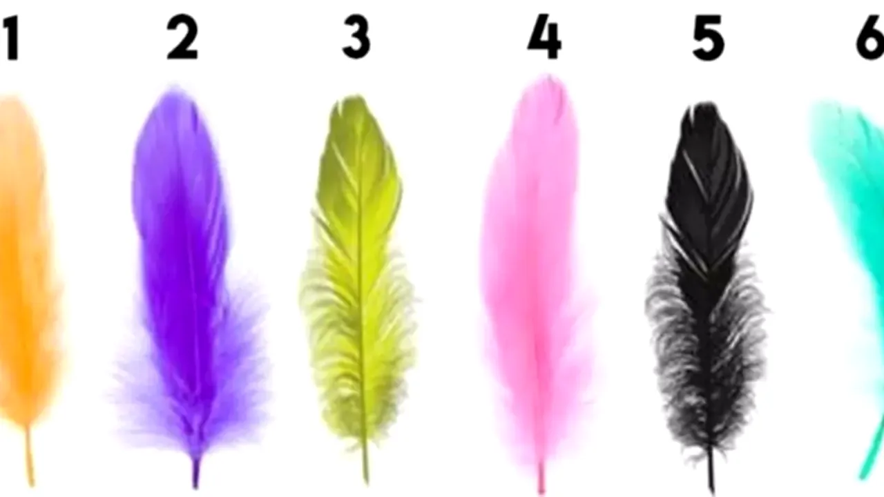 Test de personalitate | Alege o pană și vei afla ce nu știi despre tine!