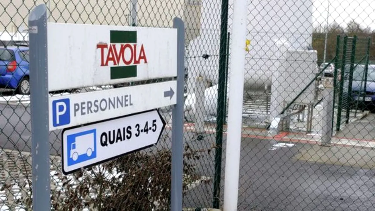 Lasagna cu carne de cal, descoperită și în Ungaria