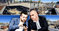 Copacii în ghiveci de 2.600 de euro bucata din Oradea s-au uscat la nici 6 luni de la plasarea lor prin oraș. Glastrele uriașe au ajuns scrumiere și depozite de pet-uri. Primăria nu știe cum să ascundă dezastrul