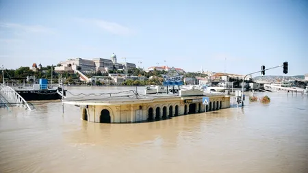 Inundațiile fac RAVAGII în drumul lor către România. Când va intra în țara noastră viitura de pe Dunăre. Administraţia Apele Române, anunț important