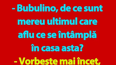 BANC | Bulă: „Bubulino, de ce sunt mereu ultimul care aflu ce se întâmplă în casa asta?”
