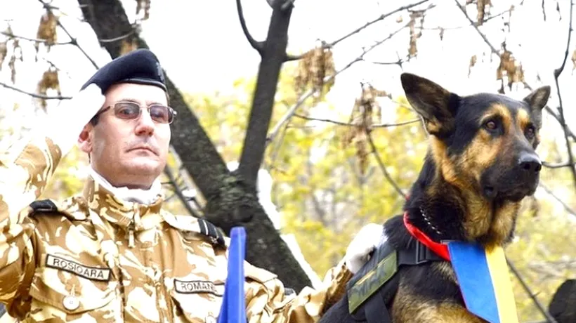 Max, câinele erou al Armatei Române, a murit la vârsta de șase ani
