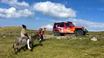 Alertă în Argeș. Un cioban a fost atacat de urs în vârful muntelui