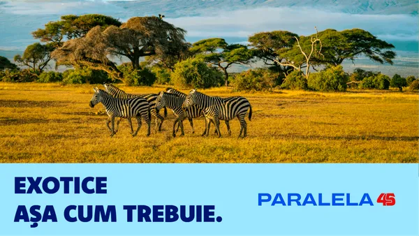 (P) Paralela45 a schimbat jocul în turismul exotic din România. Dreamliner charter exclusiv și o vacanță pe care nu ai mai văzut-o până acum