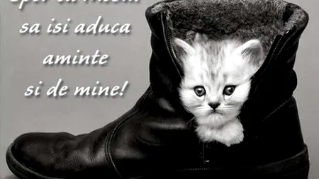 SMS SFÂNTUL NICOLAE, URĂRI MOȘ NICOLAE. Cele mai inspirate MESAJE de MOȘ NICOLAE