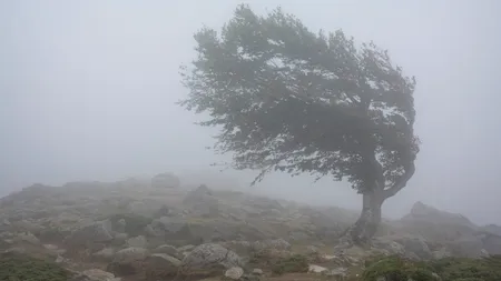 Meteo. Cod galben de polei în sudul României, avertizare de vânt puternic în sud-est
