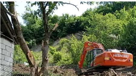 Gest HALUCINANT al unui localnic din Valea Jelnei din Bistrița Năsaud. Bărbatul a defrișat pădurea ca să-și facă loc de grătare