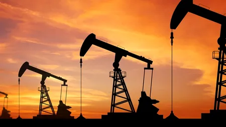 România, pe ultimul loc în UE în ceea ce privește productivitatea resurselor naturale