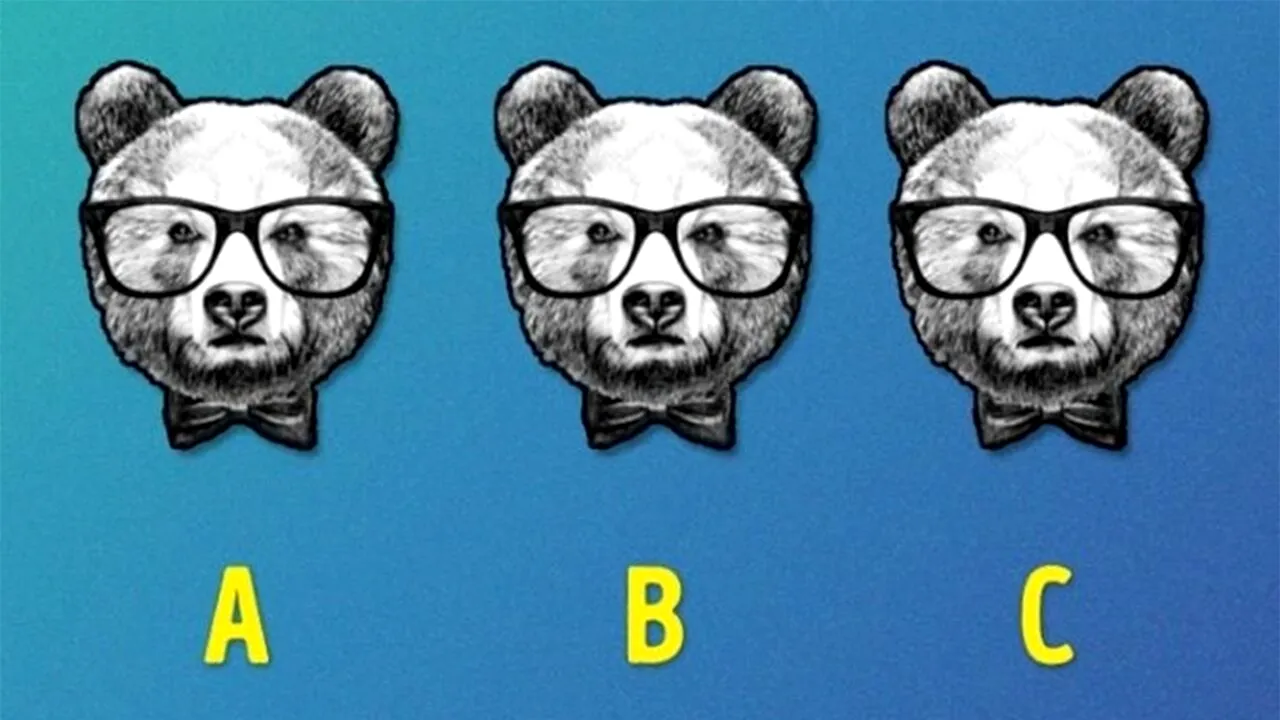 TEST IQ exclusiv pentru genii | Găsiți care urs este diferit de ceilalți doi, în cel mult 15 secunde!