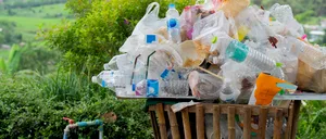 Jumătate din ambalajele alimentare din plastic ar putea fi eliminate. România s-a angajat să reducă poluarea până în 2050, potrivit GREEN Deal