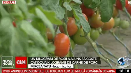 Roșia românească se vinde scump la piață. Un kilogram costă cât două kilograme de carne de porc