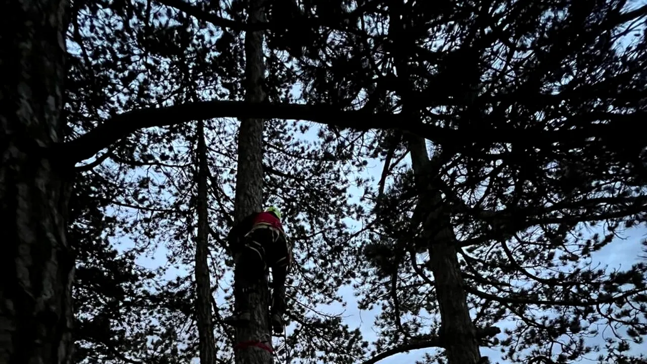 Parapantist rămas blocat într-un copac, la 15 metri de sol, pe dealul Lempeș. Bărbatul a fost coborât abia după 3 ore