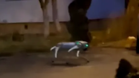 Câine robot, folosit de o familie din Cluj-Napoca pe post de animal de companie. „Unde vom ajunge?” (VIDEO)