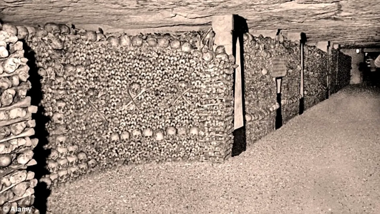 GALERIE FOTO. 