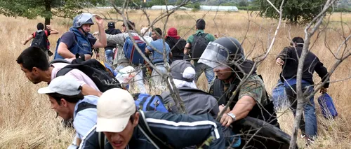 12 refugiați din Irak și Siria, opriți când încercau să intre ilegal în România dinspre Serbia