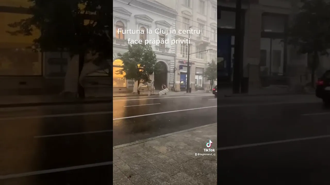 Furtuna a făcut ravagii în Cluj-Napoca. Mai multe sechele aflate în fața unor clădiri au fost doborâte