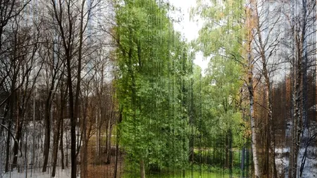 Anotimpul în care ne naștem ne afectează personalitatea. STUDIU