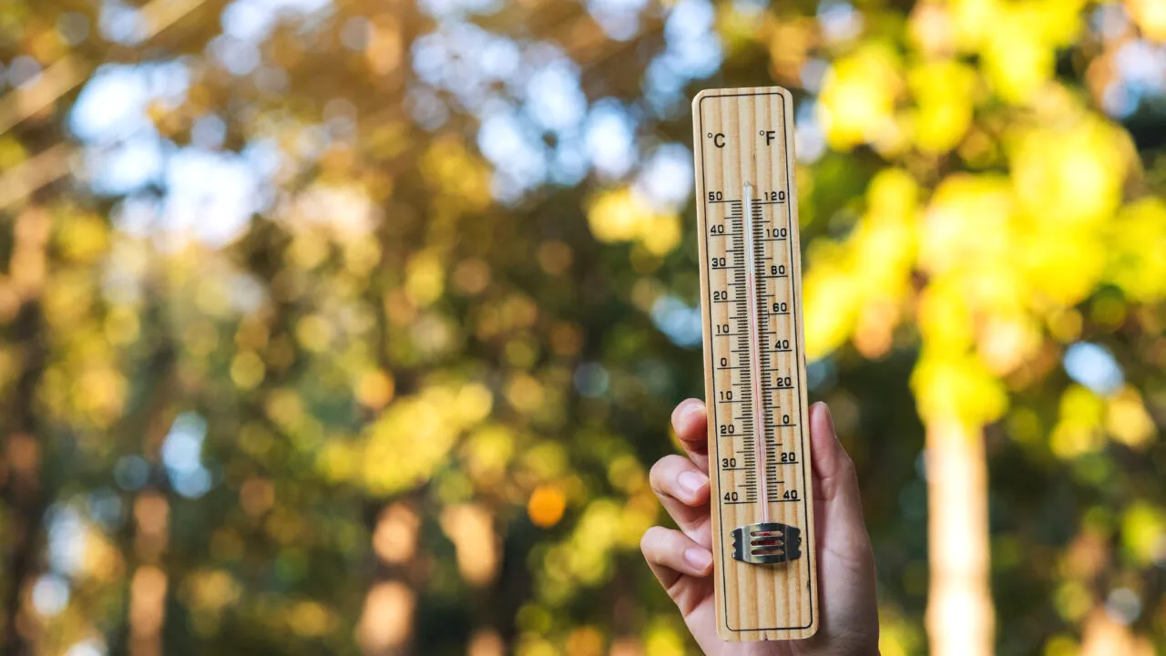 Un nou episod de caniculă în România: București și alte zece județe se află sub COD galben
