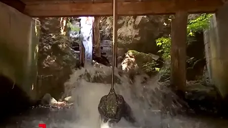 Locul unde se macină aur. 