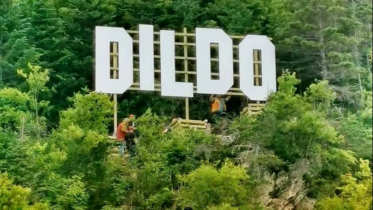 Oferta neașteptată pe care i-a făcut-o un site pentru adulți orașului numit Dildo