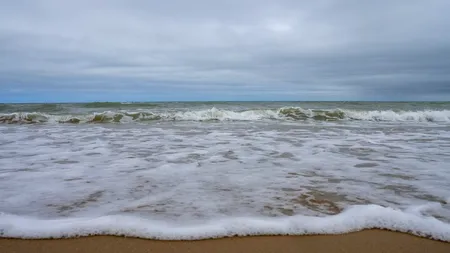 Plajele din stațiunea Mamaia sunt sufocate de ALGE după furtunile devastatoare