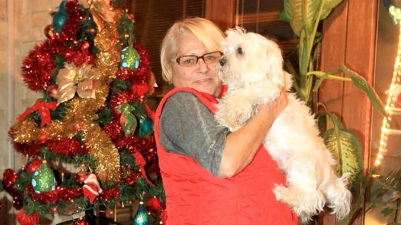 Mirabela Dauer s-a mutat într-o comună din Ilfov. Cum arată vila în care artista a investit 200.000 de euro