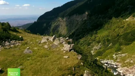 România, treci pe verde! Pe 19 noiembrie am dat startul reîmpăduririi României