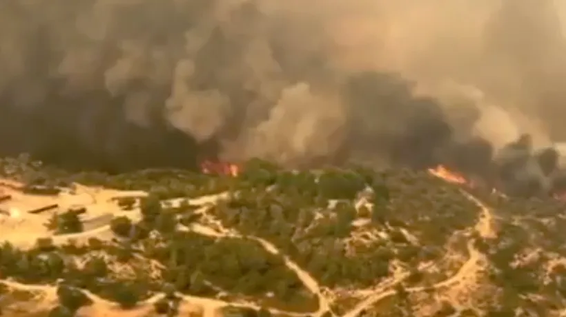 Un incendiu devastator a izbucnit în nord-estul Spaniei: Sute de animale au murit, iar 20.000 de hectare de teren sunt în pericol