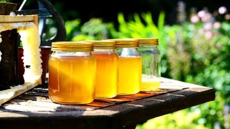 SPRIJIN. Câți bani vor primi apicultorii în următorii doi ani