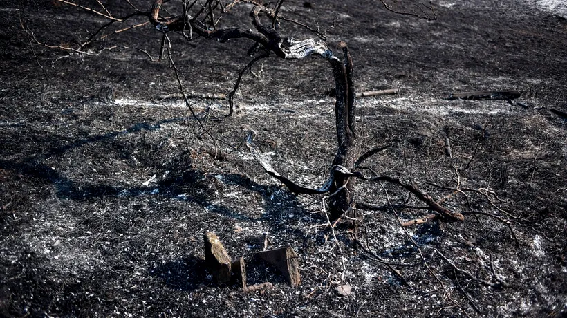 Risc mare de INCENDII în mai multe zone din Grecia. Ce regiuni sunt afectate