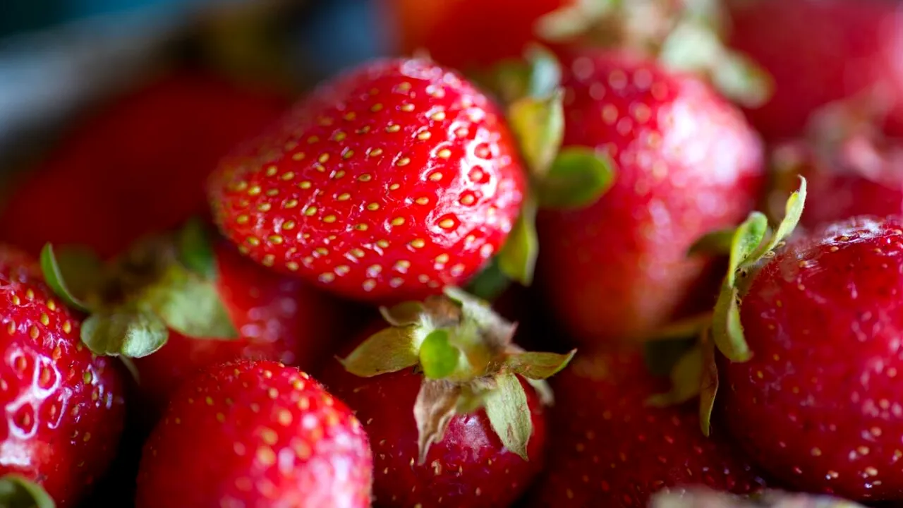 Secretul grădinarilor pentru plantarea CĂPȘUNILOR. Ce trebuie să faci ca să obții niște fructe uriașe și dulci