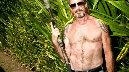 Creatorul antivirusului McAfee a fost arestat după ce a fost prins drogat la volan