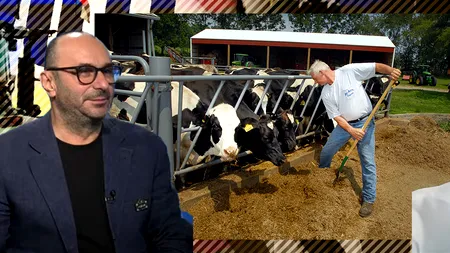 Mirel Palada: „Procesul de destructurare al societății va continua. Românii învață prin suferință”