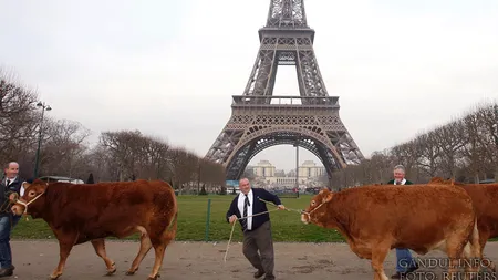 MESAJUL DUR primit de FRANȚA: Nu este competitivă comparativ cu restul Europei