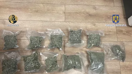 Bărbat prins în flagrant, în timp ce vindea droguri în Constanța. Cât ceruse pe un kilogram de canabis